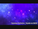 Soaring Particles / 経堂のバッハ
