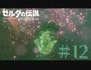 【女性実況】#12 可愛いのにちょっと腹立つ【ゼルダの伝説 ブレス オブ ザ ワイルド】