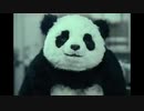 PANDAAAAAAAAAAAAAAAA