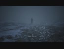 時々叫ぶバイオ村　パート24「BIO VILLAGE Z Version」