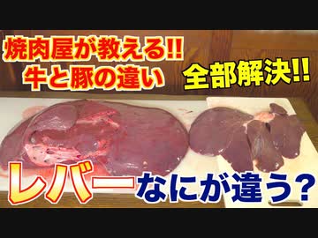 【牛・豚の違い】レバーってどう違う？解説します!!