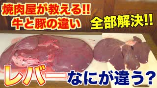 【牛・豚の違い】レバーってどう違う？解説します!!