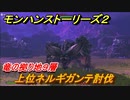 モンハンストーリーズ２　上位ネルギガンテ討伐　竜の拠り地９層　＃３４５【モンスターハンター ストーリーズ２ ～破滅の翼～】