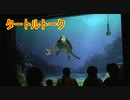 タートルトーク【東京ディズニーシー】