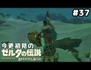 【ゼルダの伝説ブレスオブザワイルド】第一リト族のカッシーワさん【実況プレイ】#37