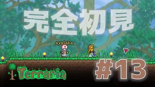 【女性実況】友人と大学最後の夏休みをエンジョイ#13【terraria テラリア】