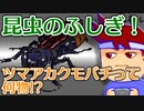 バーチャルいいゲーマー　佳作選　わくわく昆虫スペシャル「ツマアカクモバチ（ツマアカベッコウ）」編。