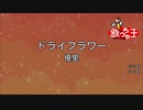 『ドライフラワー / 優里』歌ってみました　うたメガネ