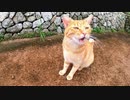 雨上がりの公園に行ったら野良猫が猛烈に甘えてきた