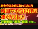 ゆっくり雑談 403回目(2021/8/20) 1989年6月4日は天安門事件の日 済州島四・三事件 保導連盟事件 ライダイハン コピノ コレコレア