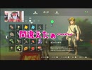 【顔出し実況】ゼルダ全く知らん女が蜂と崖に苦戦するブレワイ #5