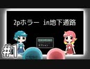 【2Pホラー in地下通路】2人で出来るホラーゲームがあるらしい【Part1】