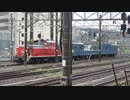 【さよーなーらー】DD511183牽引クモル145-1015/クル144-15配給列車@西大路(20210820)【さよーならー】