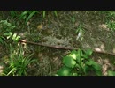 めるるのジャイアンのモノマネに触発されたZ！！！/らじこ  Free Talk NATIVE