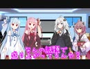 お姉ちゃんに謎の対抗心をもつ、言語力脊髄反射な葵ちゃん【10秒動画祭】