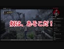 【生配信切り抜き】アンチャーテッドフラグ回収RTA最速の男【サレコウベ／COTRプロジェクト】