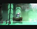 虫嫌いが行く昆虫王国冒険譚 #34【Hollow Knight】