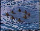 アトランタ五輪 ガーラ
