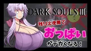 【ダクソ3】残り火使用するとおっぱいがでかくなるPart14