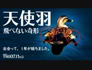 0731B②【飛べない奇形】カルガモ親子にパンをあげないで。悲劇のエンジェルウイング。ハクセキレイ親子の餌やり捕食。バンとツバメの幼鳥かわいい。　#身近な生き物語　#カルガモ親子　#ツバメ