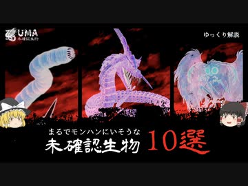 モンハンにいそうなUMA(未確認生物)10選【ゆっくり解説】