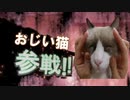 伝説の保護猫たちが参戦！！！【ラグドール】