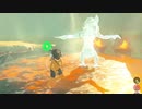 依頼を受けて、リザルフォスを凍らせて運んでみた
