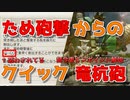 【ガンランス】ため砲撃からの竜杭砲を今更解説【モンハンライズ】