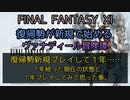 【FF11】復帰誓新規プレイして１年……　１年経った現在の状態と１年プレイしてみて思った事。