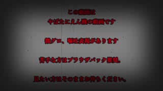 【やばたにえん酸】相棒と一緒に攻略中part１、２