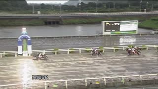 2021年8月21日高知競馬5R 仁淀川特別(準重賞・B級以下) ブラックランナー