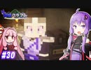 【孤島クラフト】Re.アンダーグラウンド・ラビリンス #30