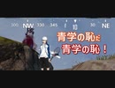 【実況】海洋生物達は戦地で生き残りたい【三日海坊主】