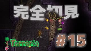 【女性実況】友人と大学最後の夏休みをエンジョイ#15【terraria テラリア】