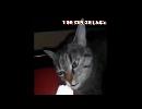 My Video
