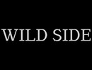 wildside 歌ってみた 「もく」