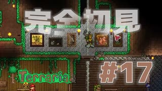 【女性実況】友人と大学最後の夏休みをエンジョイ#17【terraria テラリア】