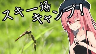 冬Ninjaとどこまでも/スキー場で星空キャンプ！