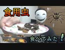 【閲覧注意】初心者がタランチュラ食べたら大変なことが分かった・・・【昆虫ミックス】