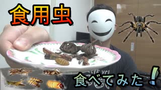 【閲覧注意】初心者がタランチュラ食べたら大変なことが分かった・・・【昆虫ミックス】