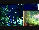 387位  ランクイン日時：2021/8/23 9:00　 スーツ背広チャンネルの須藤徹氏の動画の紹介です。[0399-0468]