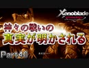 【広大な空と大地を冒険】ゼノブレイド・DE【初見実況】Part40