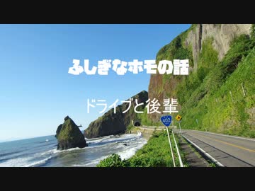 ふしぎなホモの話　ドライブと後輩