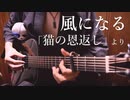 猫の恩返し「風になる」アコギで弾いてみた