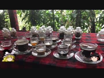 【ゆっくり】チキンの旅日誌　バリ島グルメ旅行②　コーヒー園編