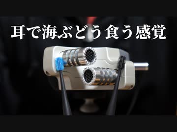 【ASMR】海ぶどうを感じる雑なブラシ耳かき【音フェチ】