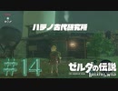 【女性実況】# 14  ハテノ村おっしゃれ～【ゼルダの伝説 ブレス オブ ザ ワイルド】