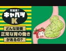 食前に食べるキャベツはメリットが多い！【ゆっくり解説】