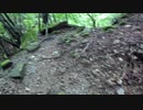 【テント泊登山】雨の奥秩父縦走【新テント】その１前篇