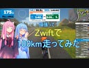 頑張って１００km走りたい＿11km